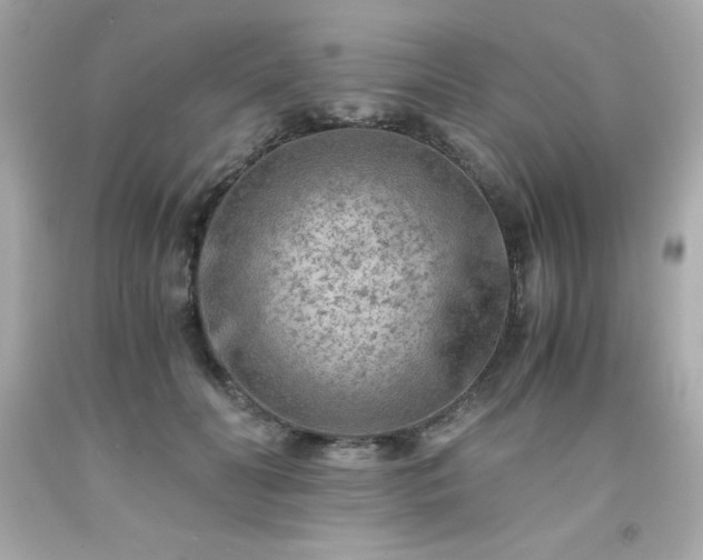 X0000091920606200709121540