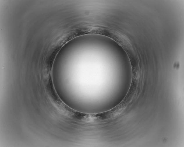 X0000091920607200709121540