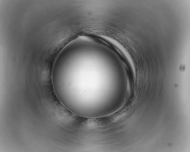 X0000091920608200709121540