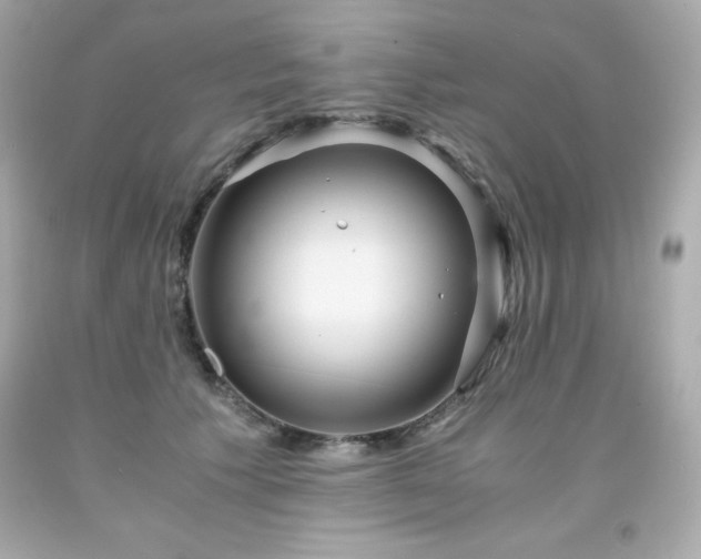 X0000091920609200709121540