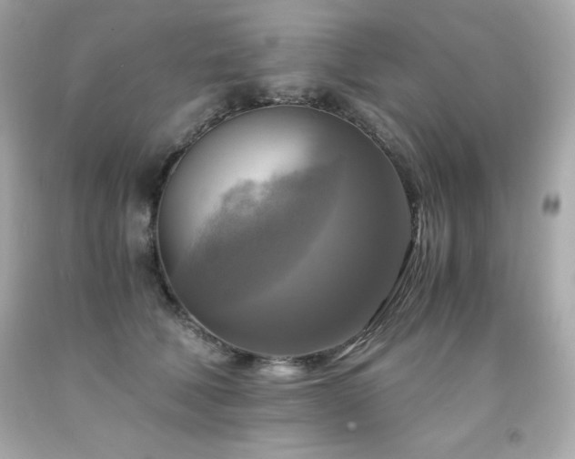 X0000091920610200709121540