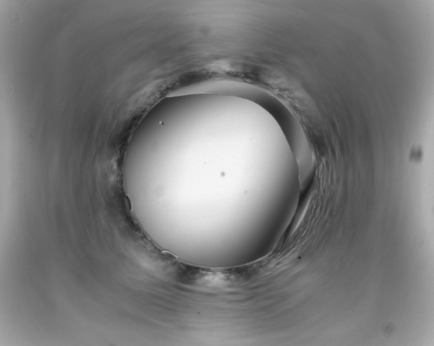 X0000091920611200709121540