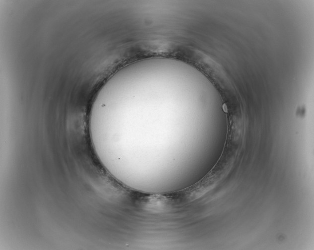 X0000091920612200709121540