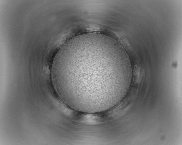 X0000091920614200709121540