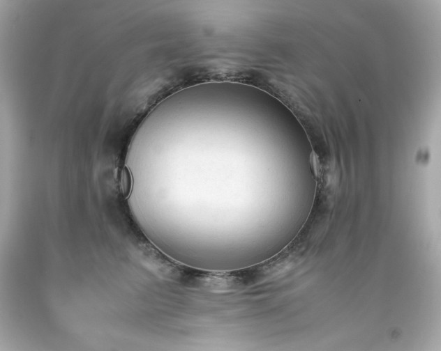 X0000091920615200709121540