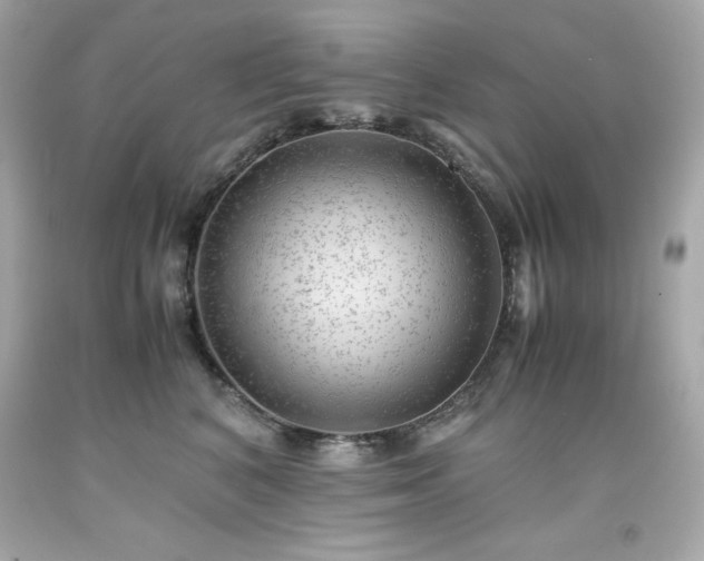 X0000091920616200709121540
