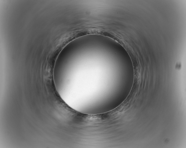 X0000091920619200709121540
