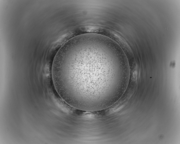 X0000091920620200709121540