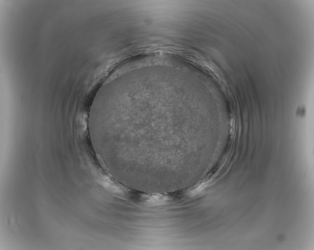 X0000091920621200709121540