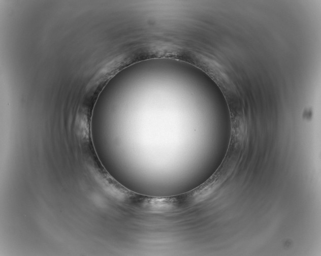 X0000091920622200709121540
