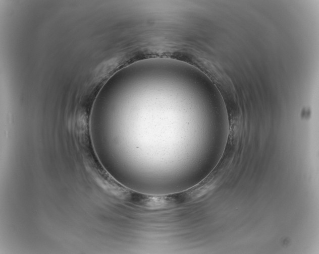 X0000091920623200709121540