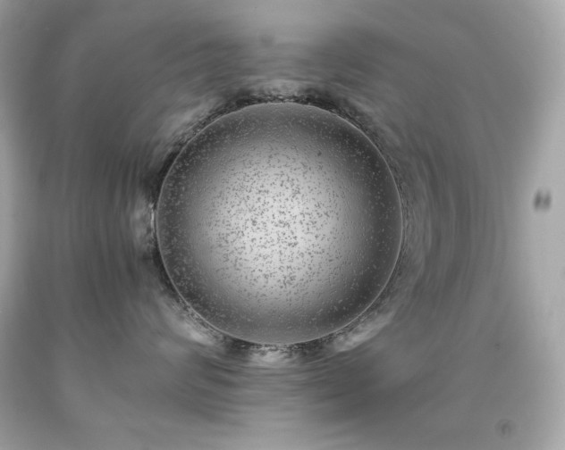 X0000091920624200709121540
