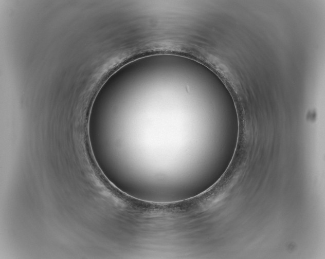 X0000091920625200709121539