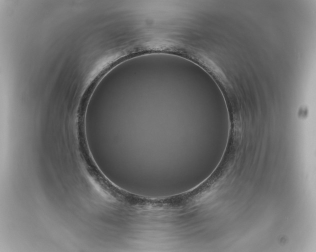 X0000091920626200709121539