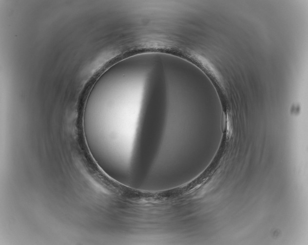 X0000091920627200709121539