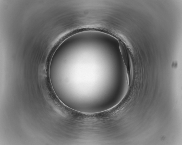 X0000091920628200709121539