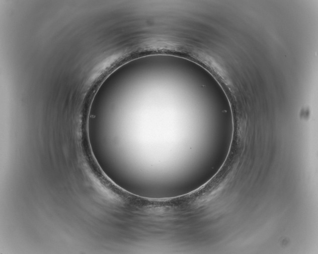 X0000091920629200709121539