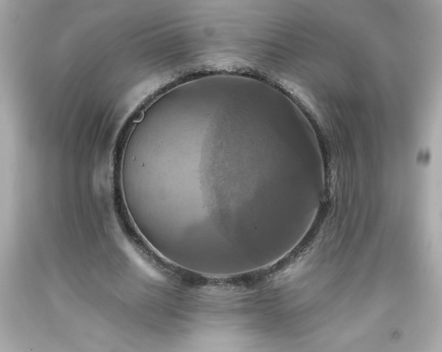 X0000091920630200709121539