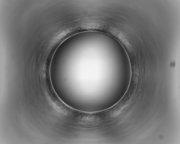 X0000091920631200709121539