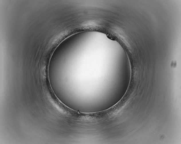 X0000091920633200709121539