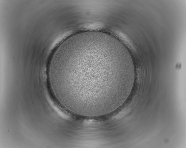 X0000091920634200709121539