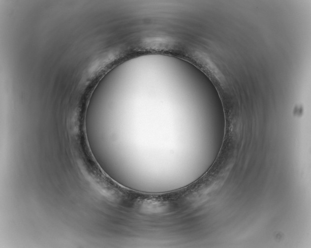 X0000091920635200709121539