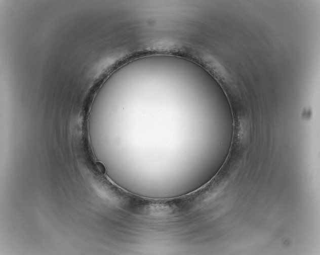 X0000091920636200709121539
