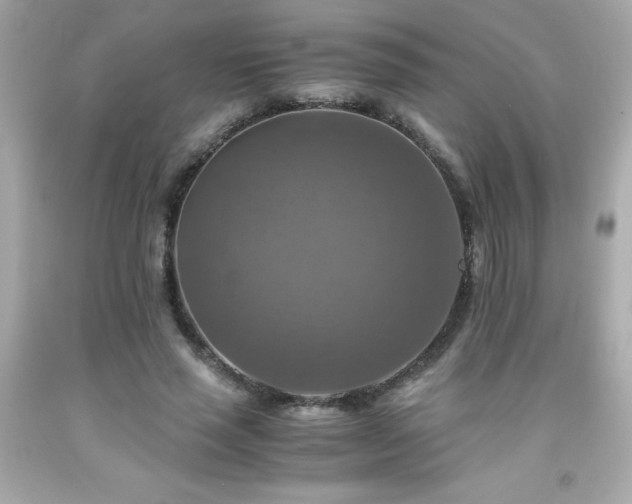 X0000091920637200709121539