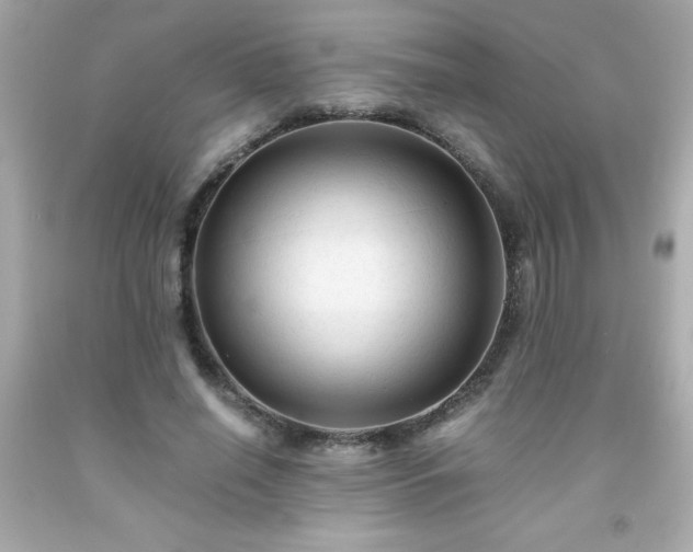 X0000091920638200709121539