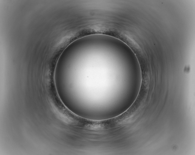 X0000091920639200709121539