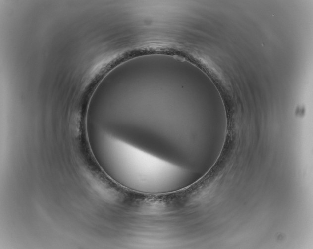 X0000091920640200709121539