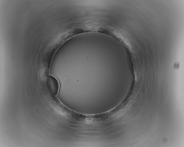 X0000091920641200709121539