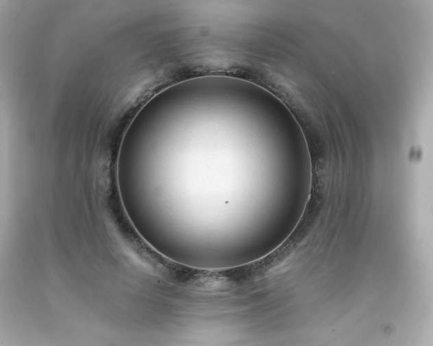 X0000091920642200709121539