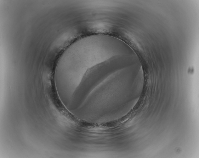 X0000091920643200709121539