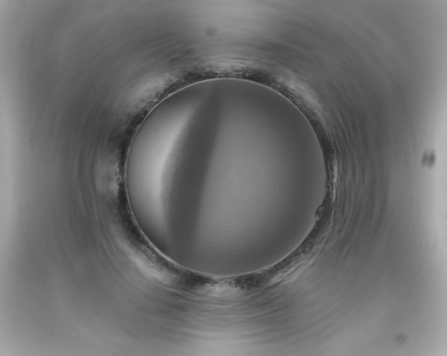 X0000091920644200709121539
