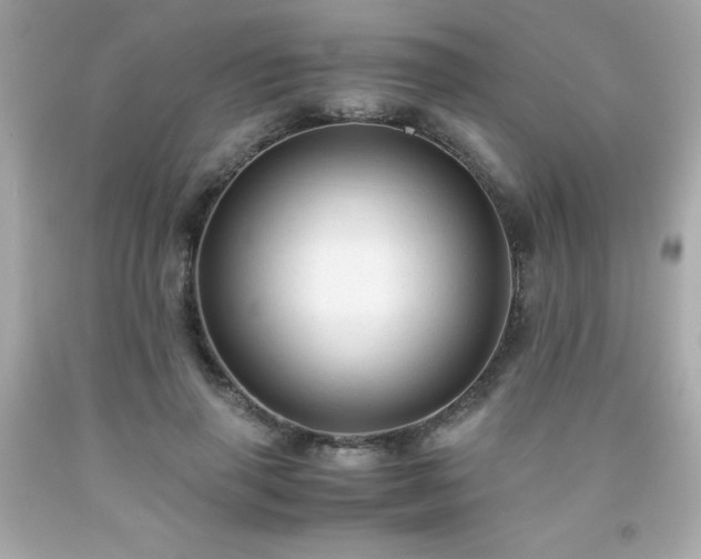 X0000091920645200709121539