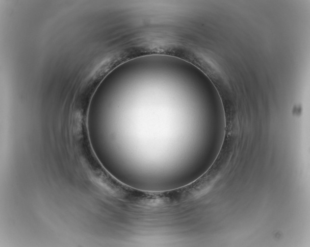 X0000091920646200709121539