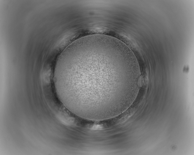 X0000091920647200709121539