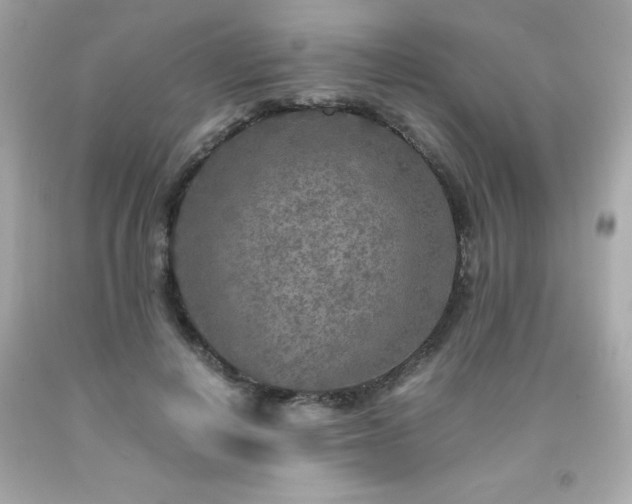 X0000091920648200709121539