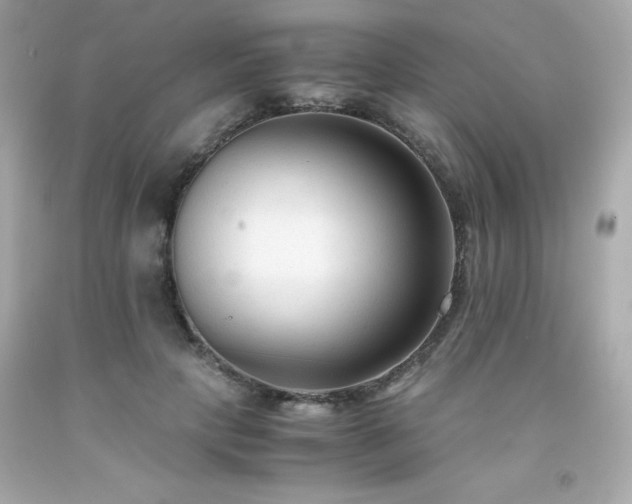 X0000091920649200709121539