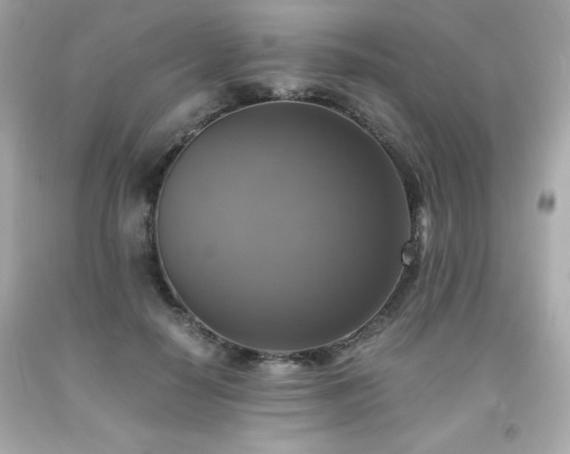 X0000091920650200709121539