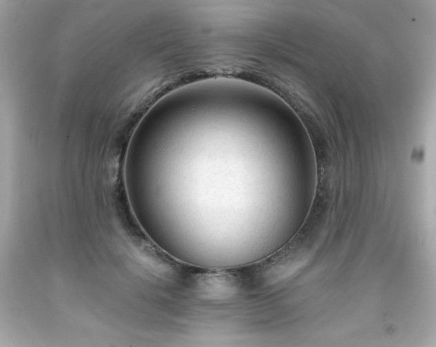 X0000091920652200709121539