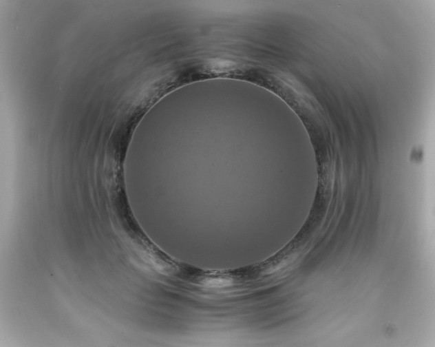 X0000091920653200709121539