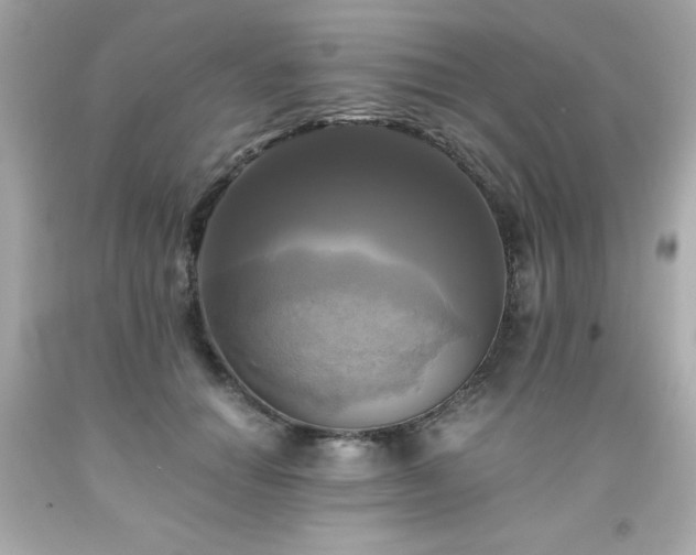 X0000091920654200709121539