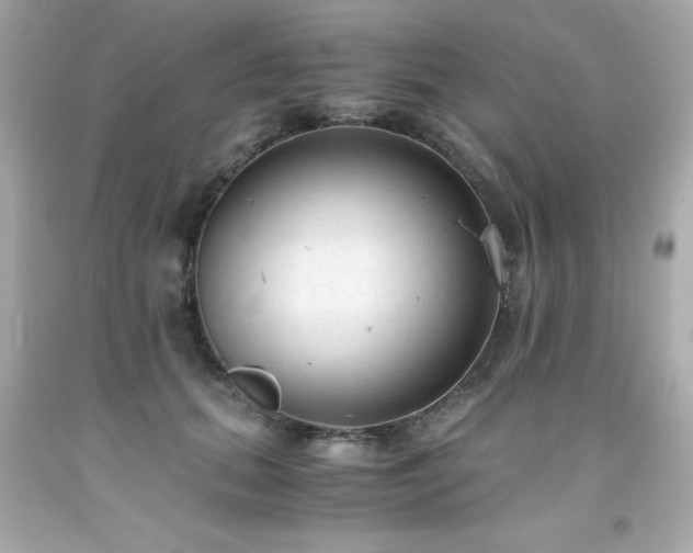X0000091920655200709121539