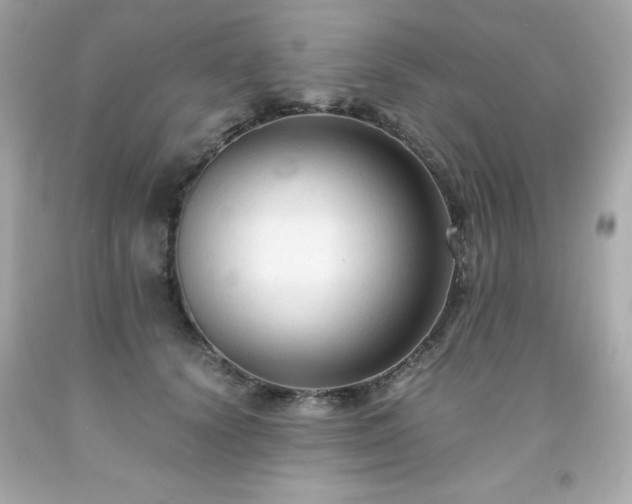 X0000091920656200709121539