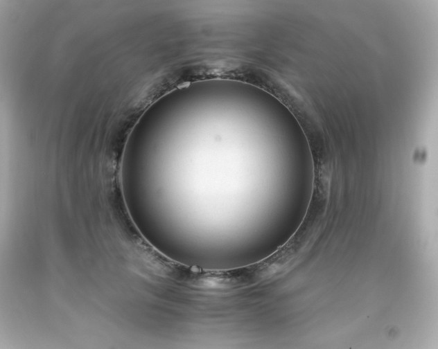X0000091920657200709121539