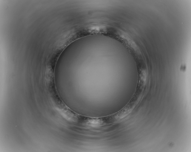 X0000091920659200709121539