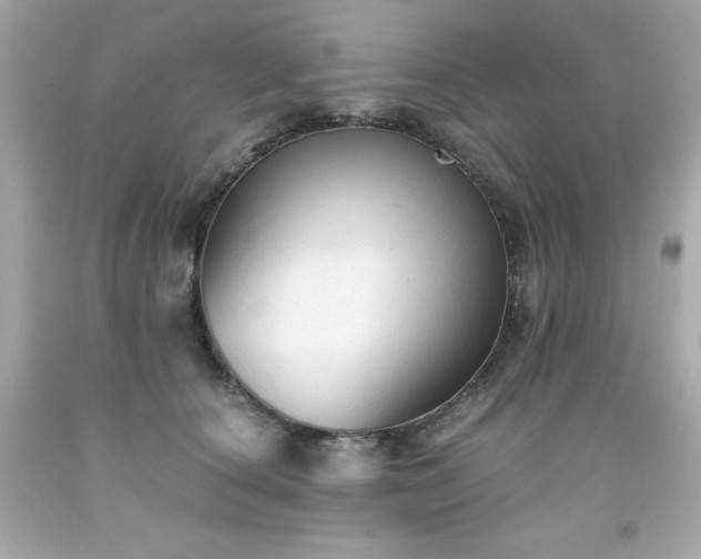 X0000091920660200709121539