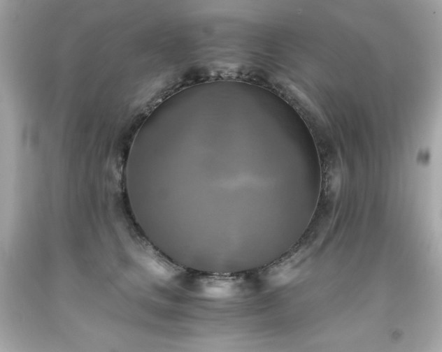 X0000091920661200709121539